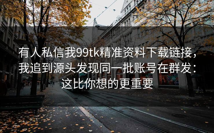 有人私信我99tk精准资料下载链接，我追到源头发现同一批账号在群发：这比你想的更重要