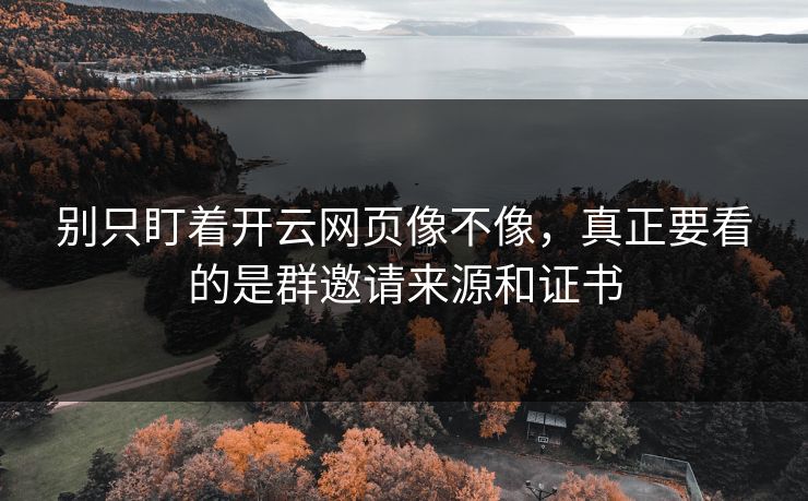 别只盯着开云网页像不像,真正要看的是群邀请来源和证书 别只盯着开云网页像不像,真正要看的是群邀请来源和证书